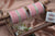 pink indian bangles